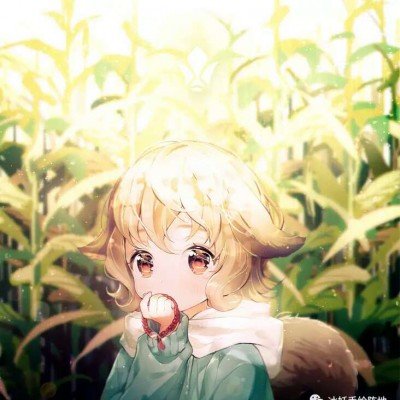 中方回应美禁进口路由器针对中国